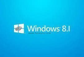نرم افزار Windows 8.1 32&64 Bit 1 DVD بلوط